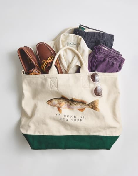 The February Collection