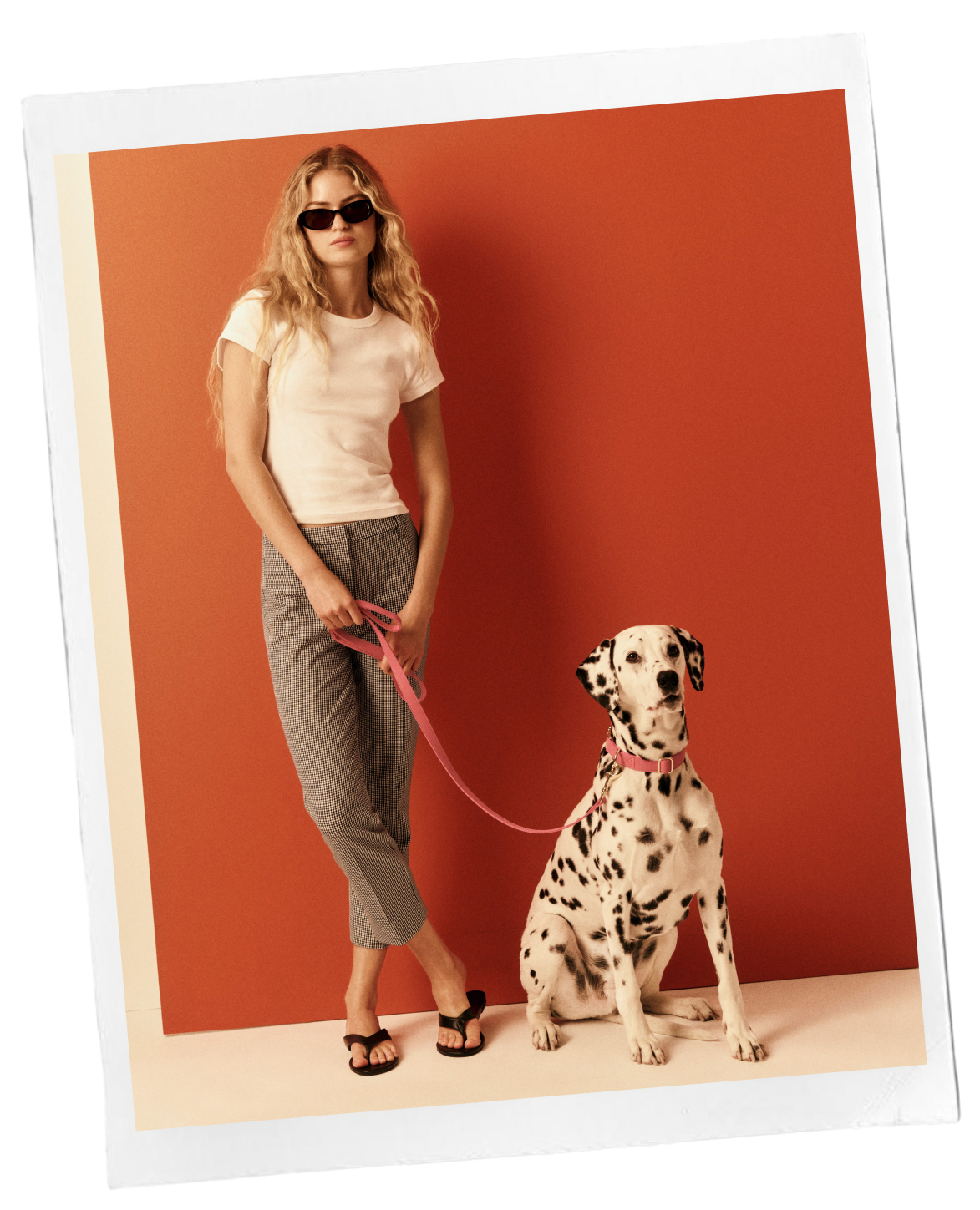 The Reissues | J.Crew | J.Crew