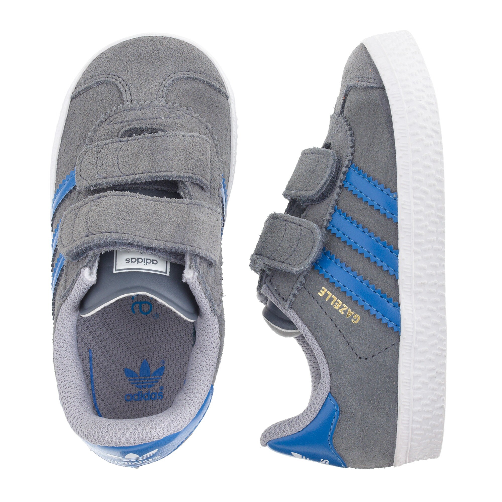 gazelle junior