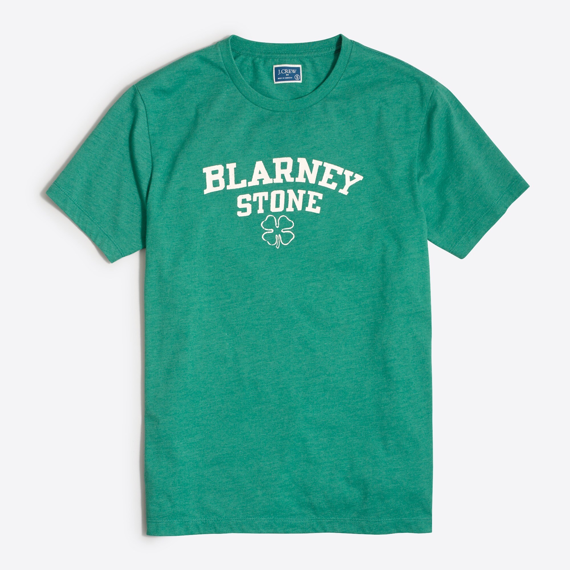 blarney stone graphic tee for men