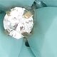 Crystal floral burst necklace NEON PERSIMMON factory: crystal floral burst necklace for women