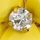 Crystal floral burst necklace NEON PERSIMMON factory: crystal floral burst necklace for women