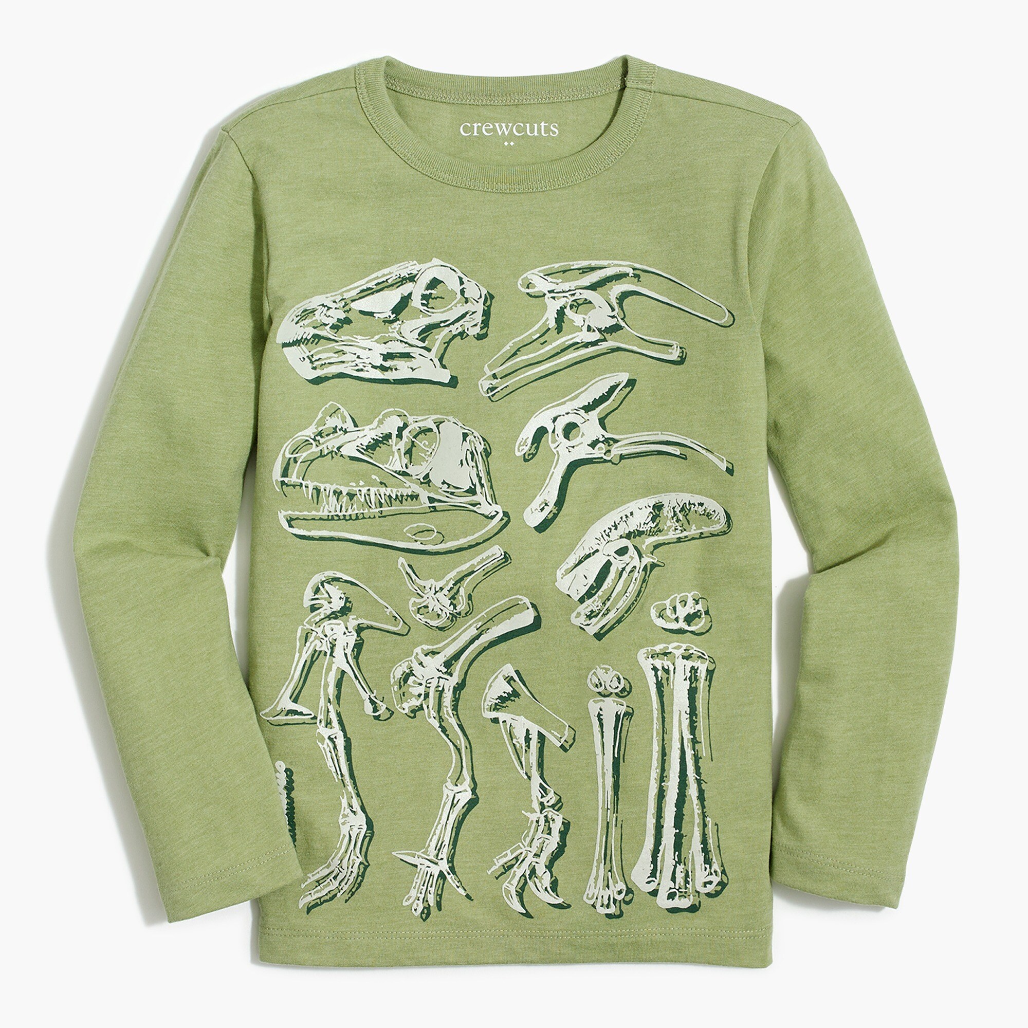 Boys' long-sleeve dinosaur graphic tee