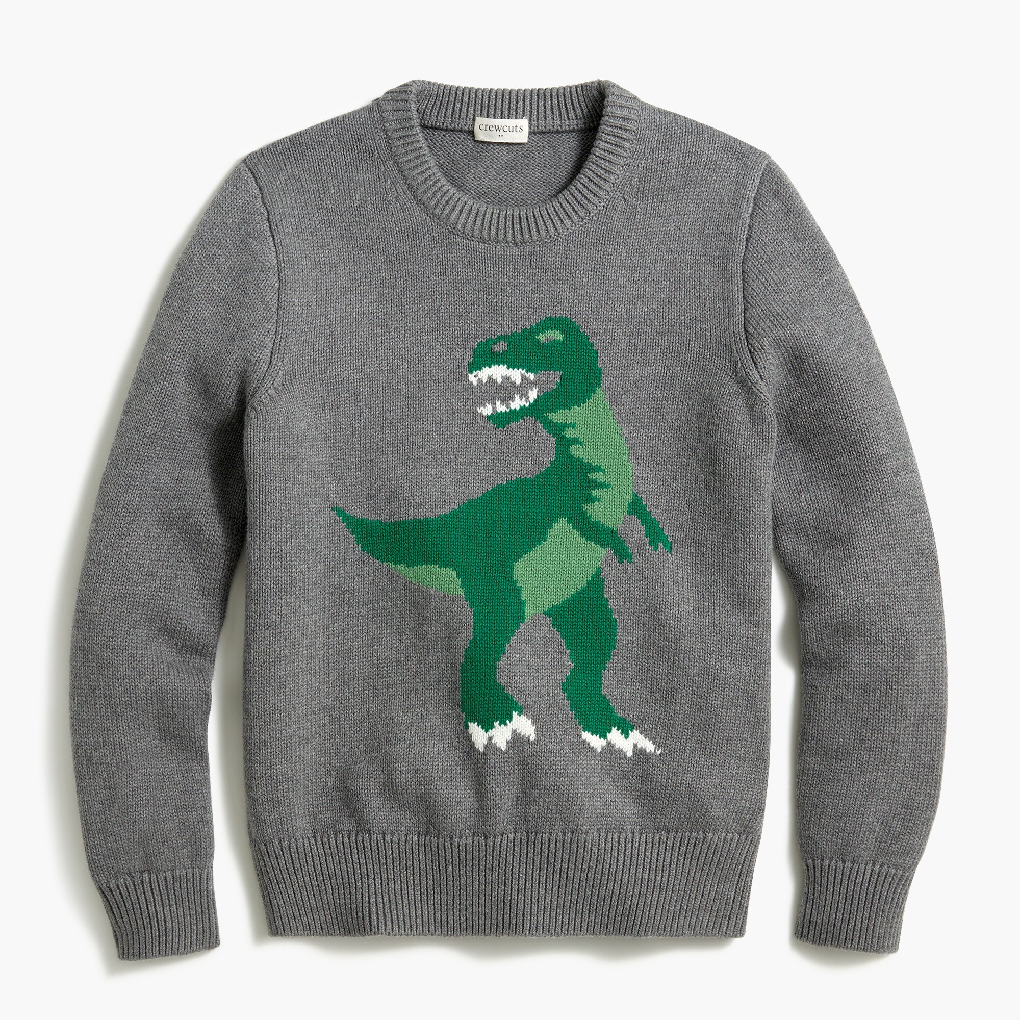 Boys' dinosaur crewneck sweater