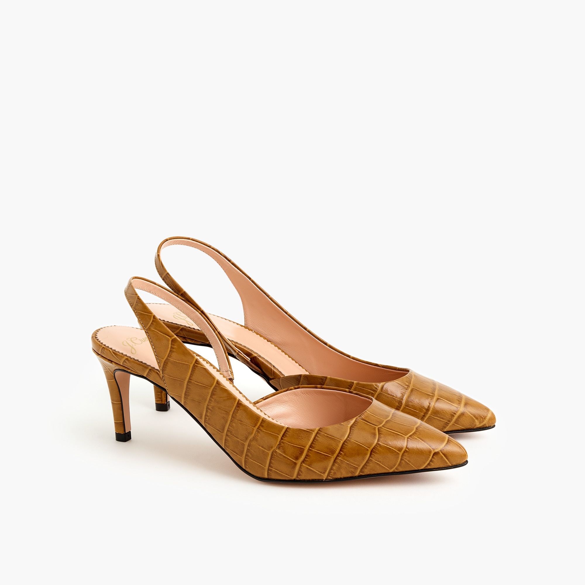 crocodile pump