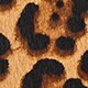Coin and card case in calf hair LEOPARD j.crew: coin and card case in calf hair for women