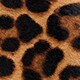 Pointed-toe Sadie boots in leopard calf hair LEOPARD j.crew: pointed-toe sadie boots in leopard calf hair for women