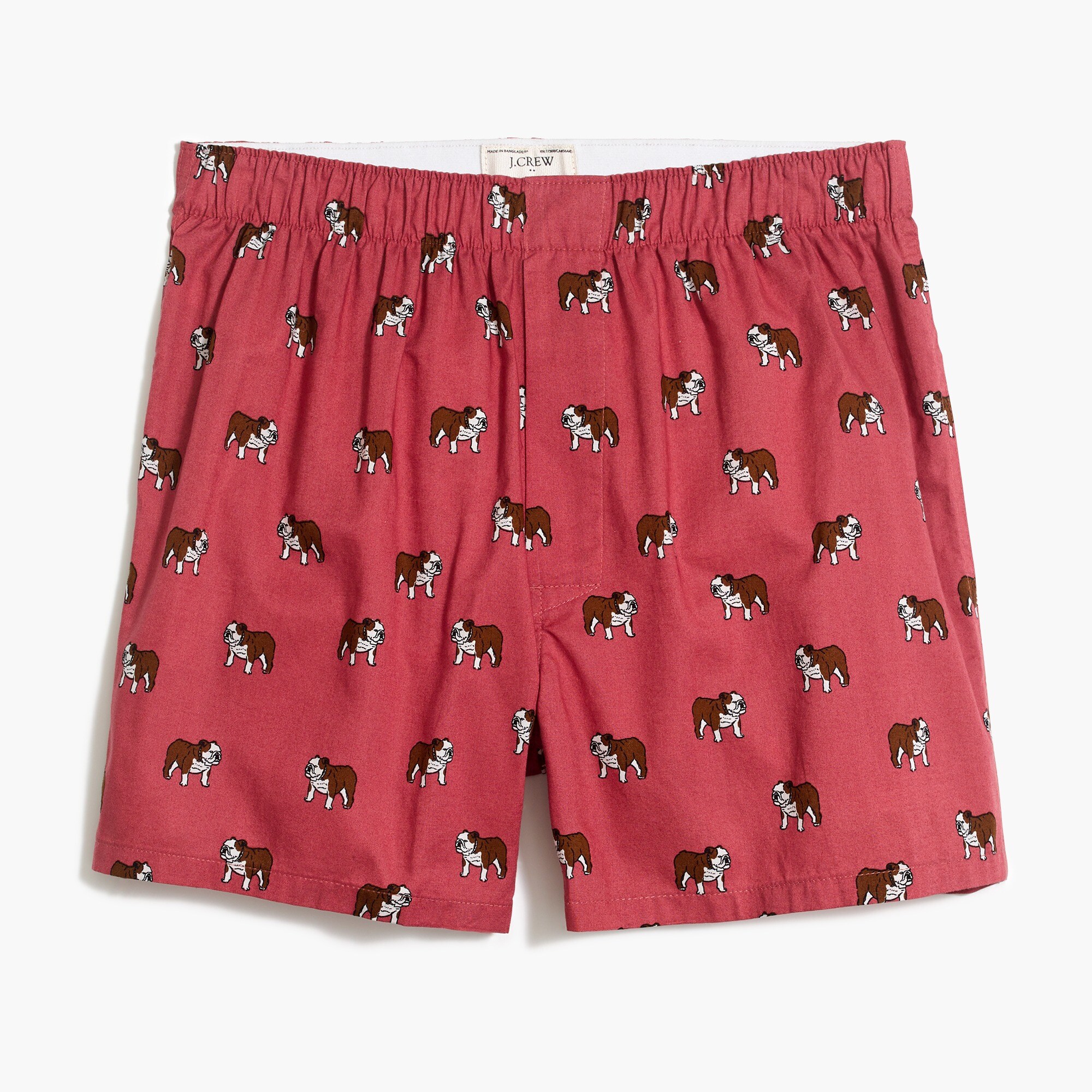Bulldog boxers