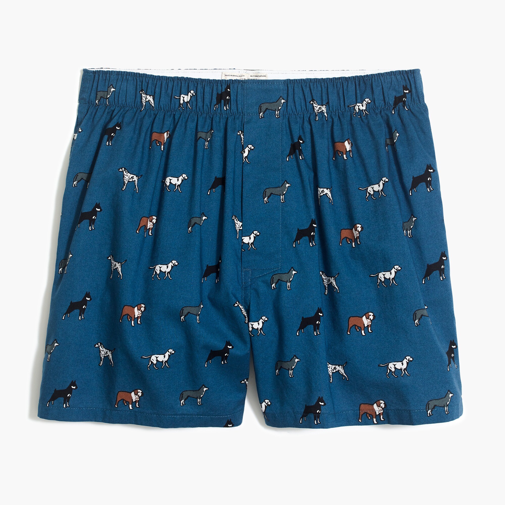 Dog walk boxers