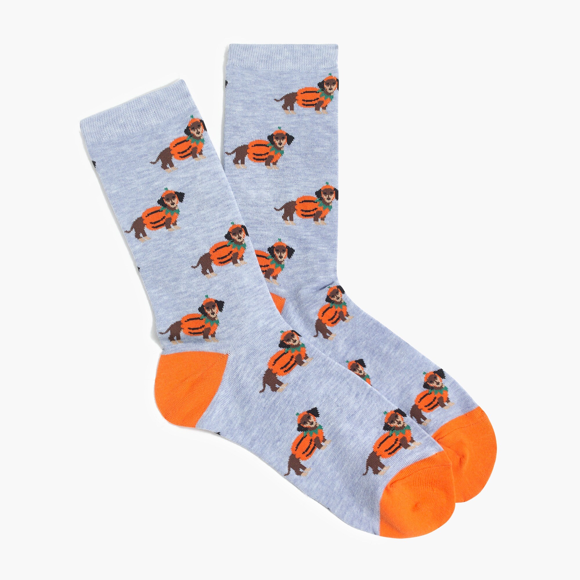 Dachshunds in costumes trouser socks