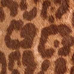 Fiona kitten-heel ankle boots in leopard calf hair LEOPARD j.crew: fiona kitten-heel ankle boots in leopard calf hair for women