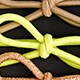 Elastic bow hair-tie pack ALMOND KIWI GOLD j.crew: elastic bow hair-tie pack for women