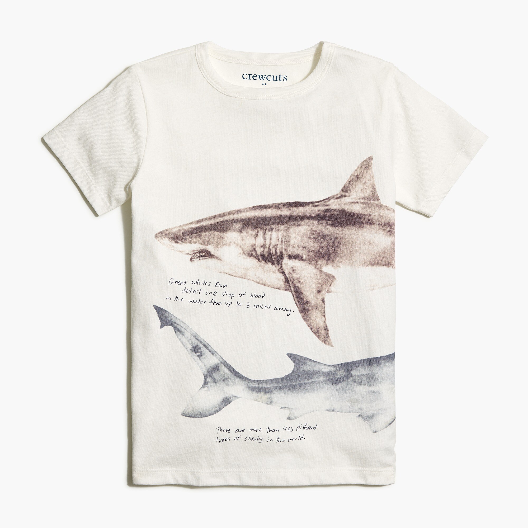 Boys's shark graphic tee