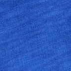 REGAL BLUE