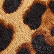 Espadrille wedges in leopard calf hair LEOPARD j.crew: espadrille wedges in leopard calf hair for women