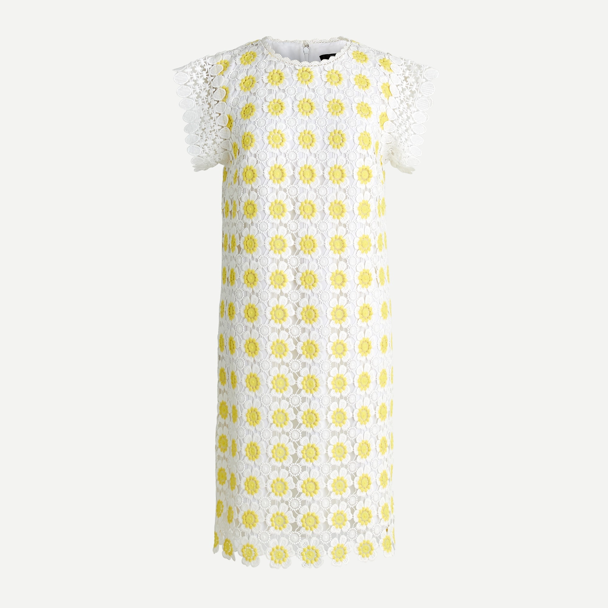 J crew sales daisy lace dress