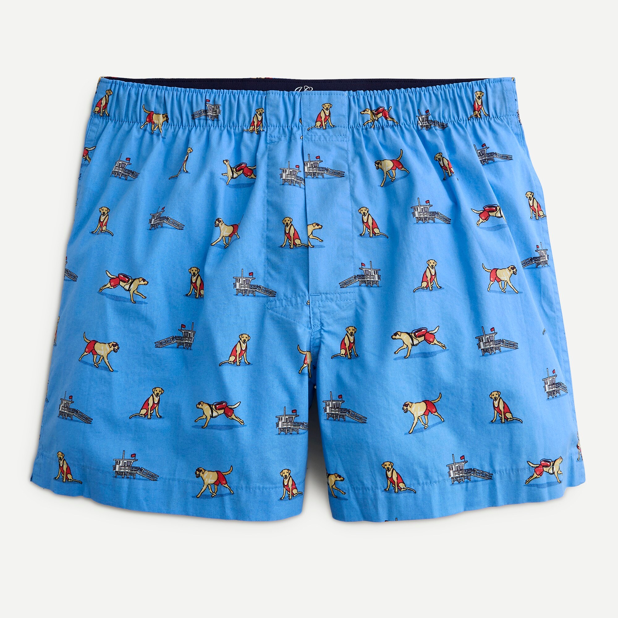 Boxers in lifeguard dog print