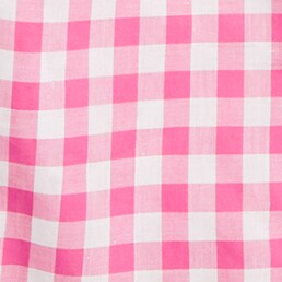 Petite gingham lightweight cotton shirt in signature fit INTENSE PINK IVORY