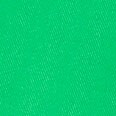 9&quot; Frankie bermuda chino short FERN CANYON factory: 9&quot; frankie bermuda chino short for women