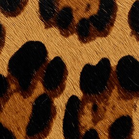 Devon hair calf camera bag with detachable strap LEOPARD 