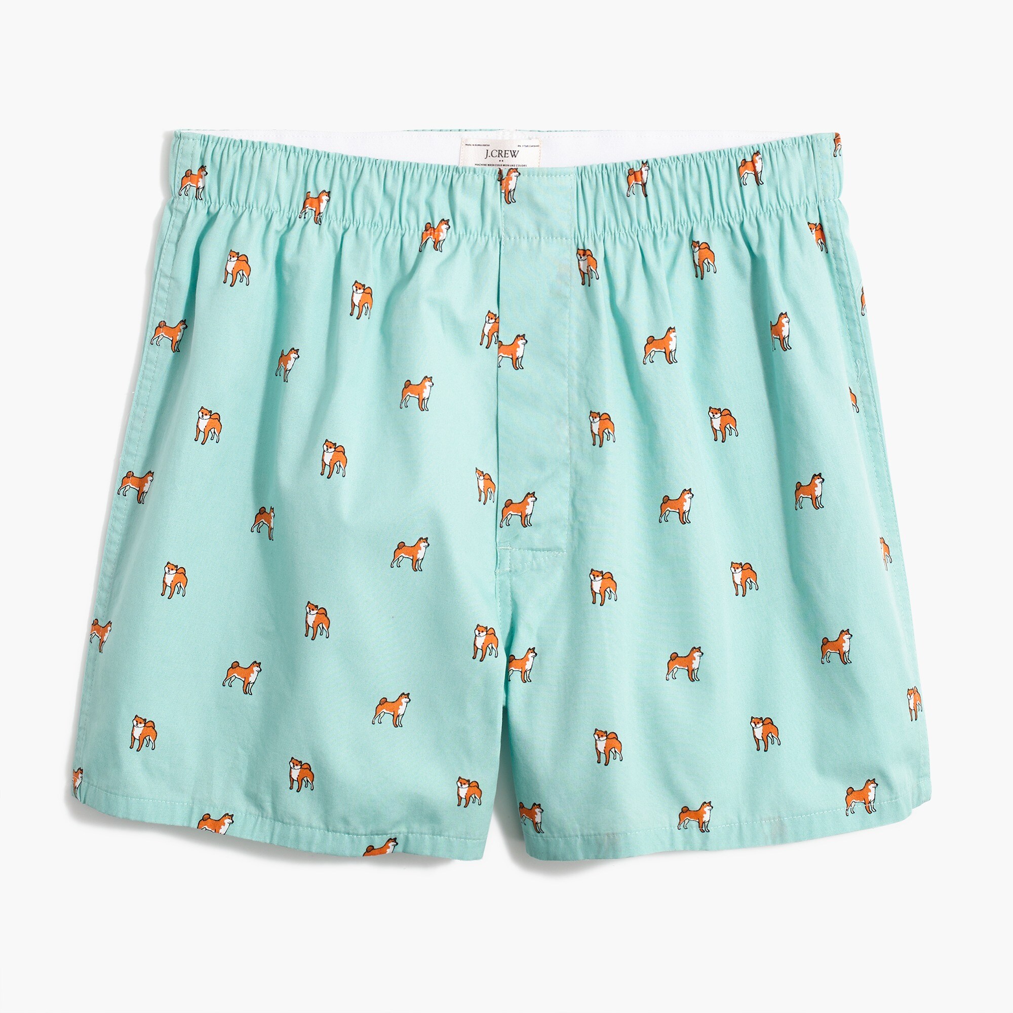 Shiba Inu boxers
