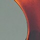 Le Specs® Feline Fine sunglasses with polarlized lenses TOFFEE TORT/KHAKI j.crew: le specs® feline fine sunglasses with polarlized lenses for women