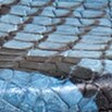 Strappy sandals in snake-embossed leather SKY BLUE SNAKE j.crew: strappy sandals in snake-embossed leather for women