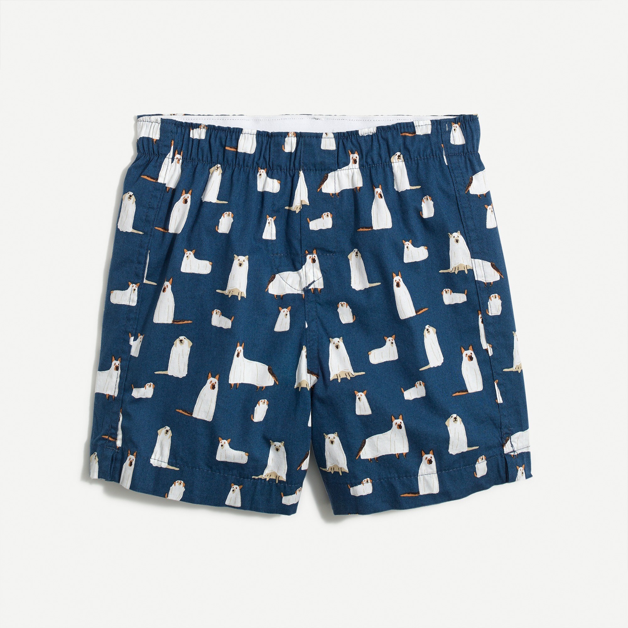 Boys' ghost dog boxers
