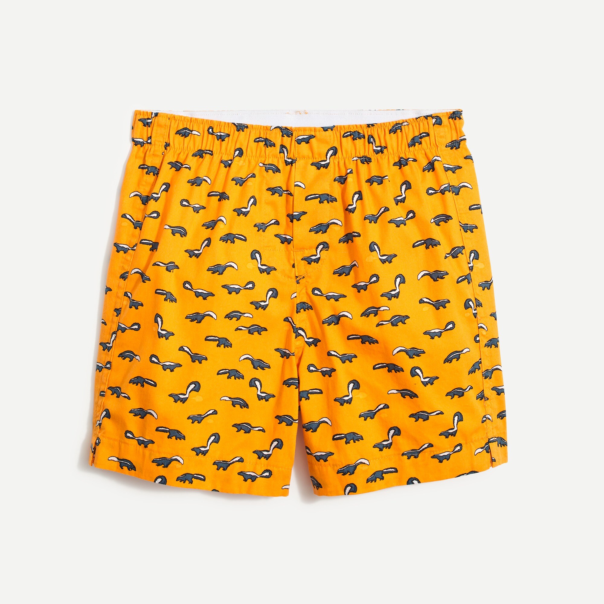 Boys' skunk boxers
