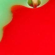 Edie Parker® X J.Crew resin strawberry earrings AUTHENTIC RED j.crew: edie parker® x j.crew resin strawberry earrings for women