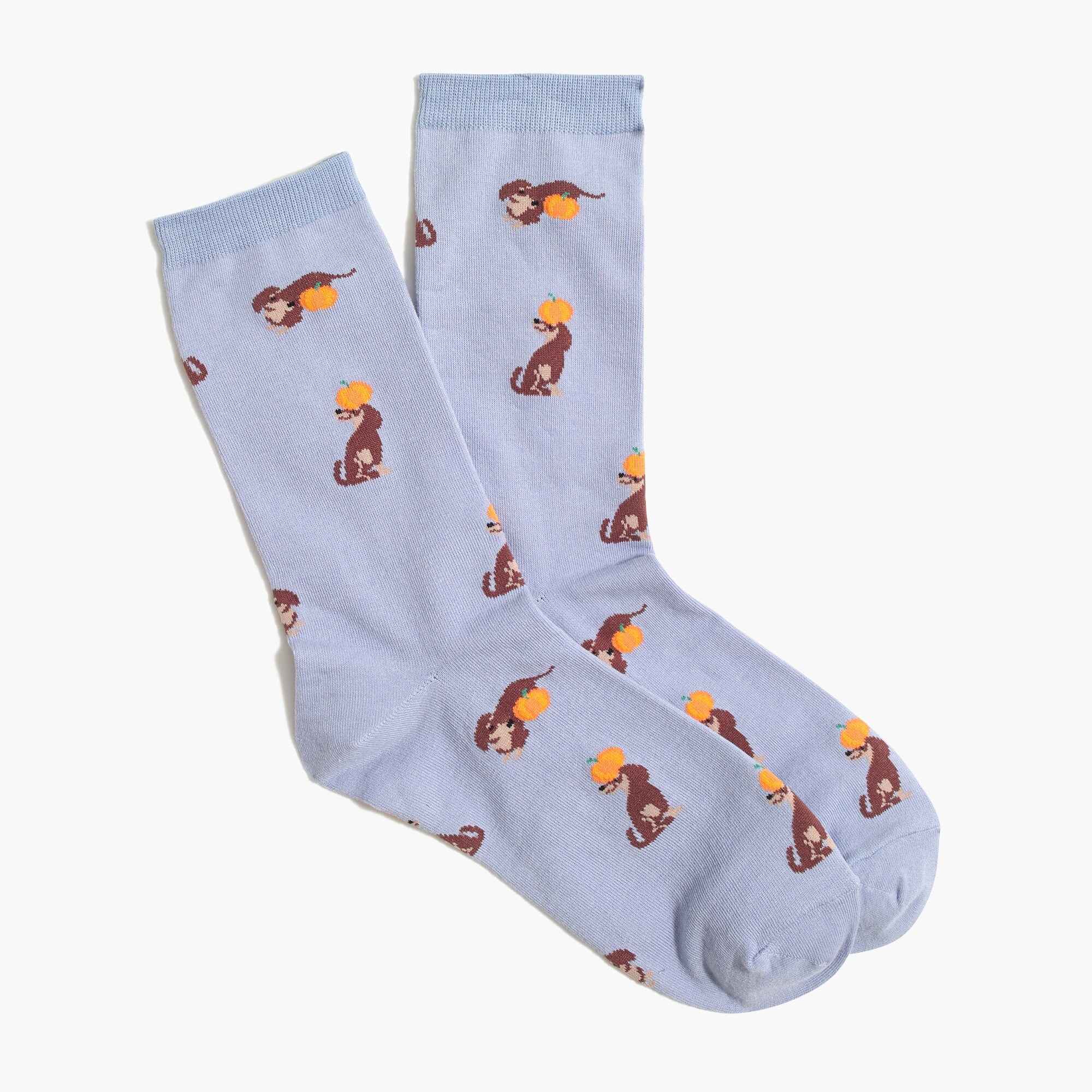 Dachshund pumpkin trouser socks