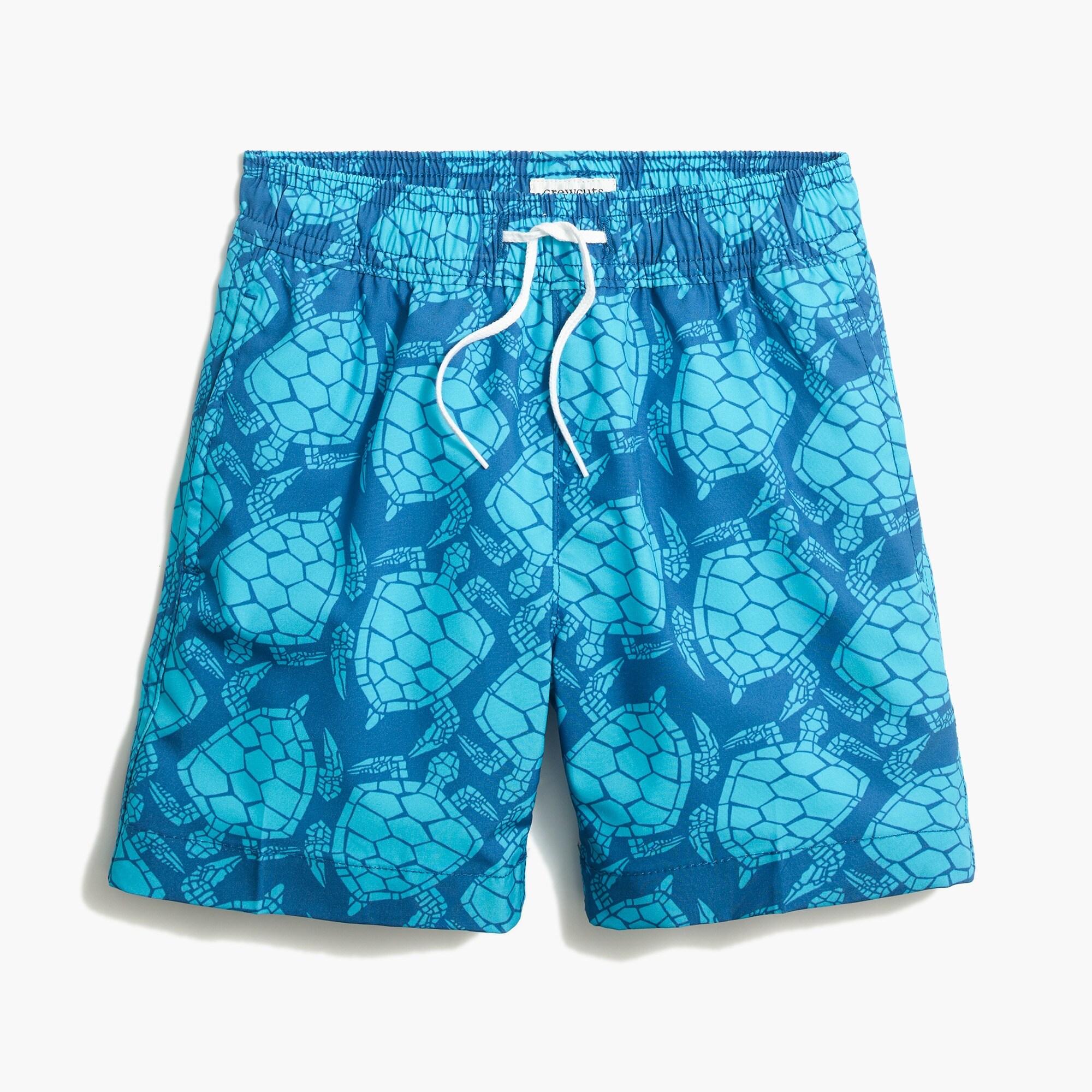 Boys' turtle swim trunk