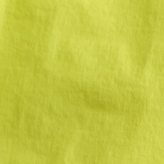 LEMON SORBET
