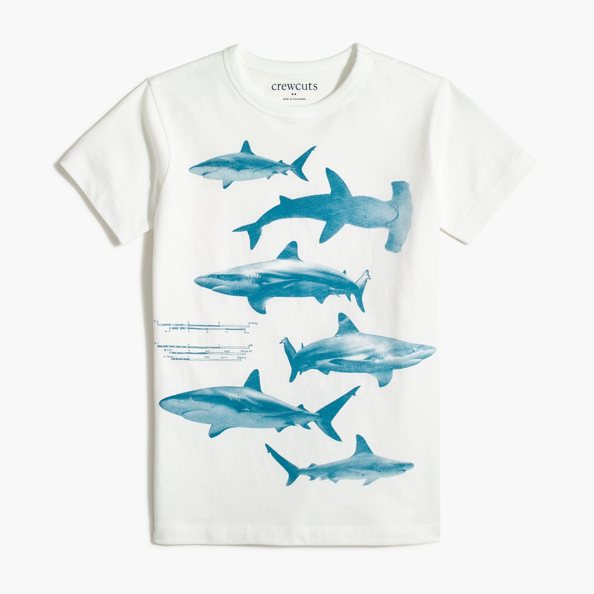 Boys' shark graphic tee