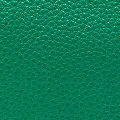 Camera bag in pebbled leather PALE SAND j.crew: camera bag in pebbled leather for women