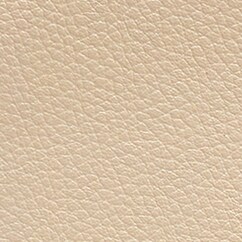 Camera bag in pebbled leather PALE SAND j.crew: camera bag in pebbled leather for women
