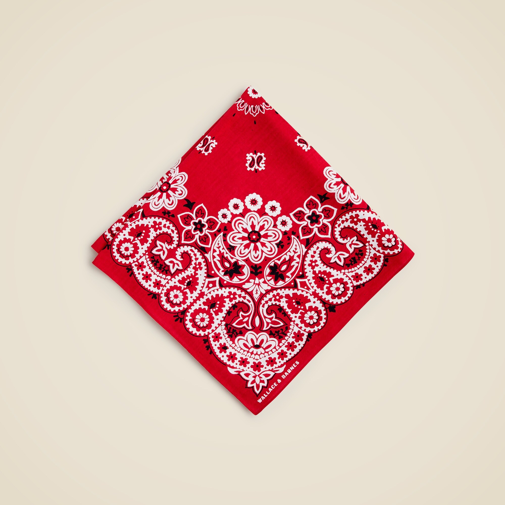J.Crew: Wallace & Barnes Organic Cotton Bandana For Men