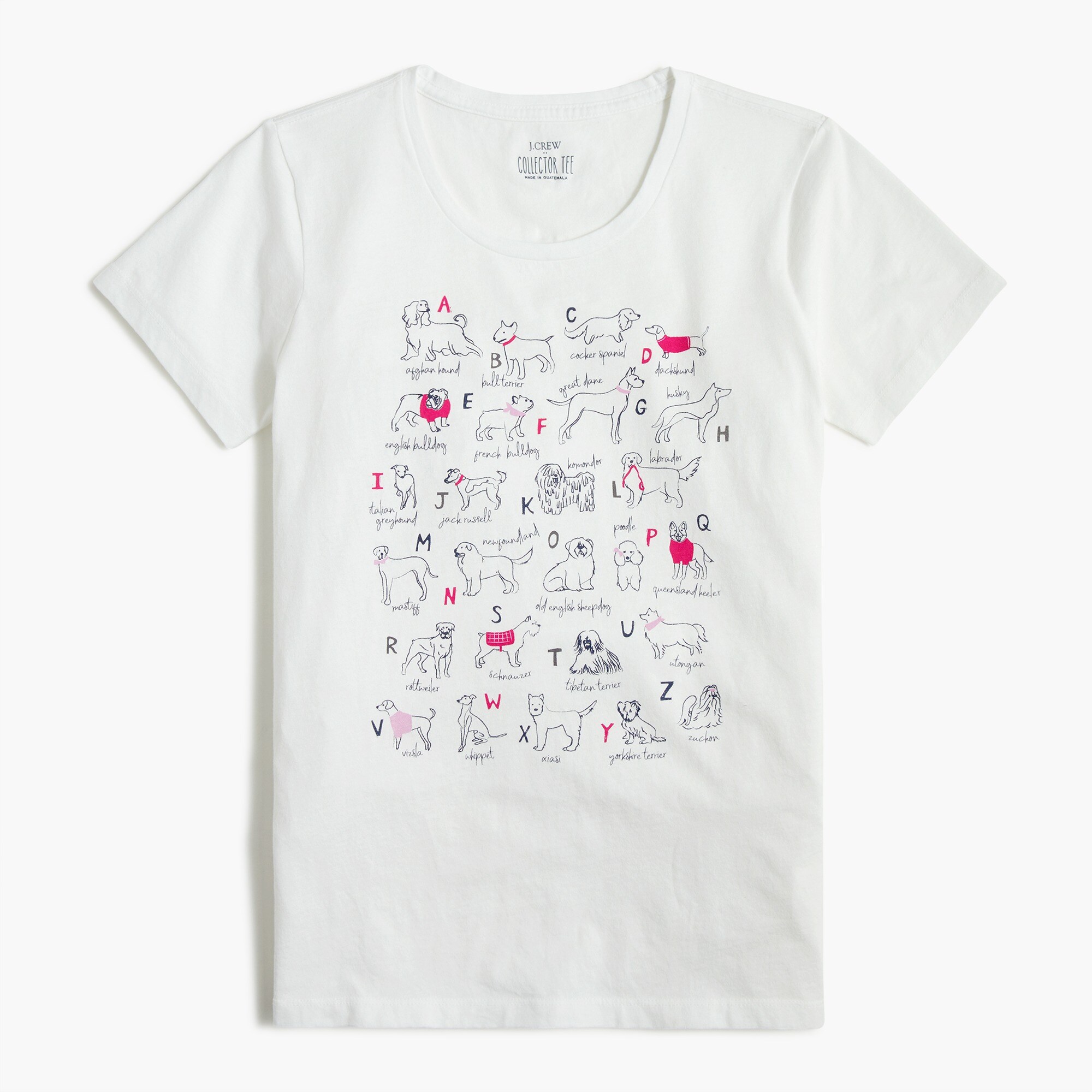 alphabet dogs graphic tee for women