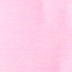 NEON CARNATION