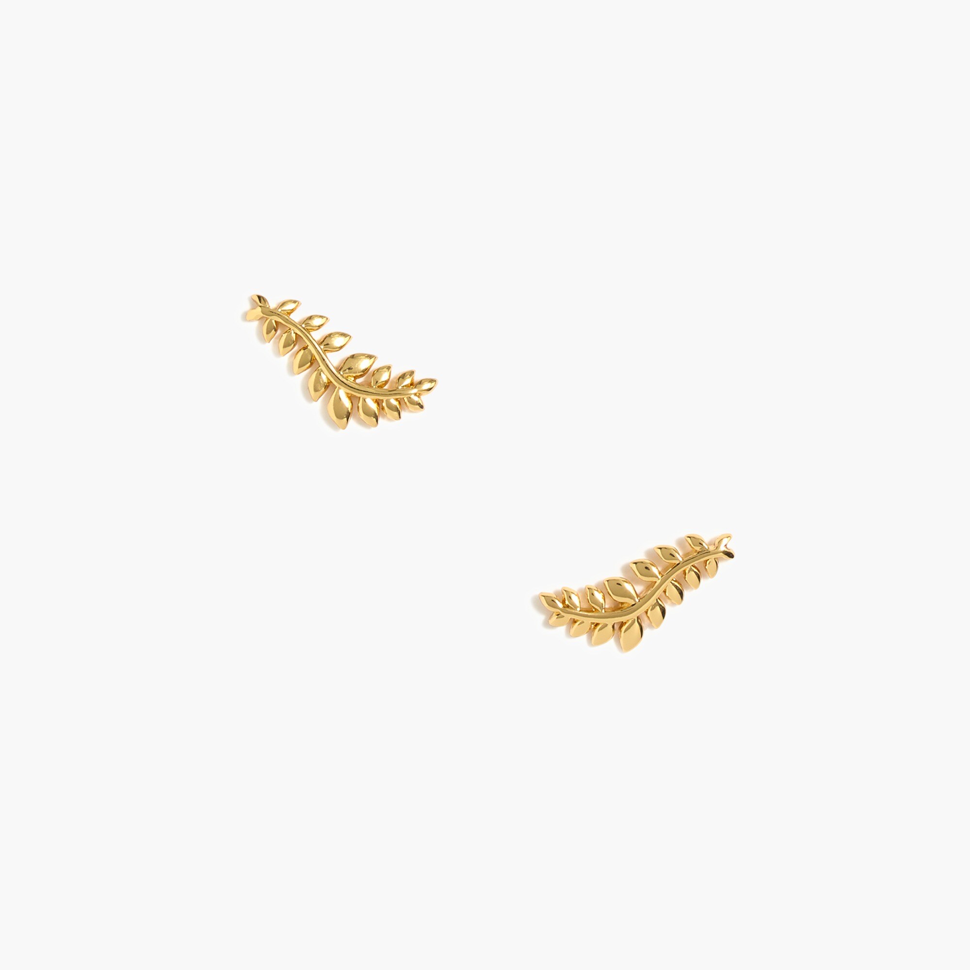 Gold leaf ear crawler