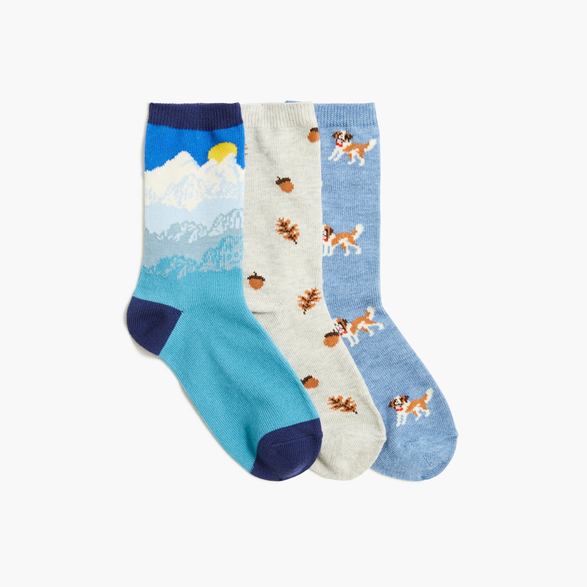 kids' outdoor dog trouser socks for boys