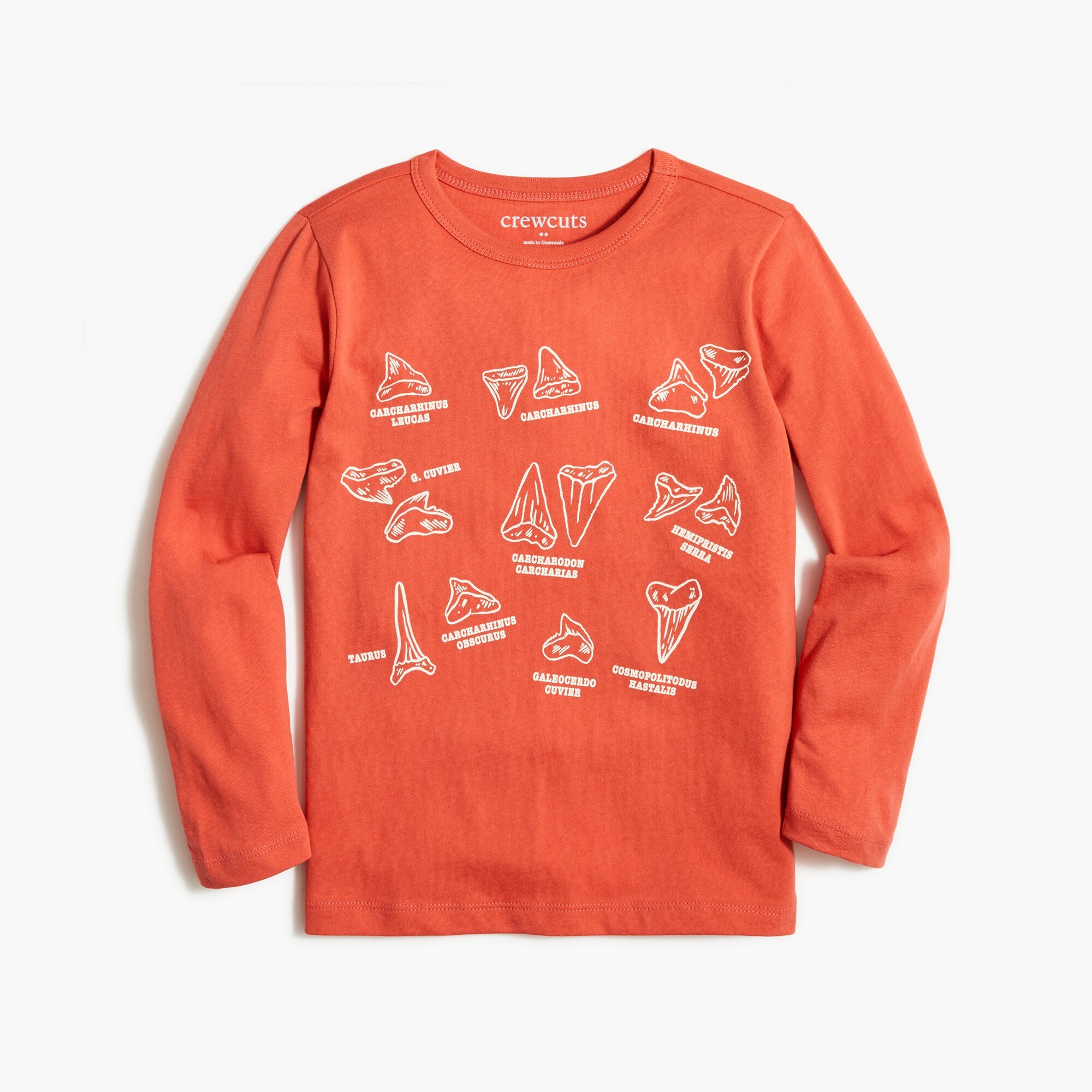 boys' long-sleeve shark tooth graphic tee for boys