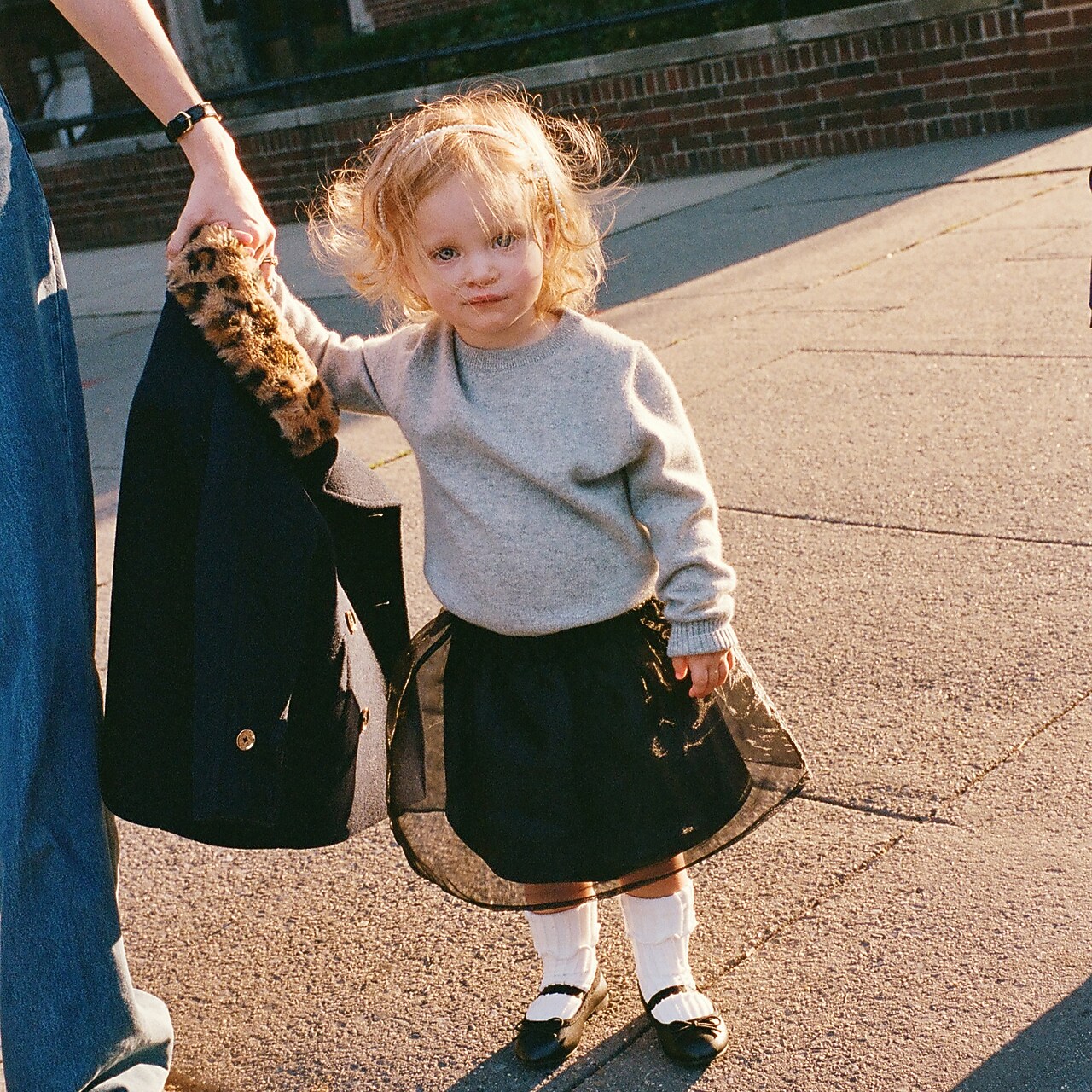 Boys' Kid By Crewcuts | J.Crew