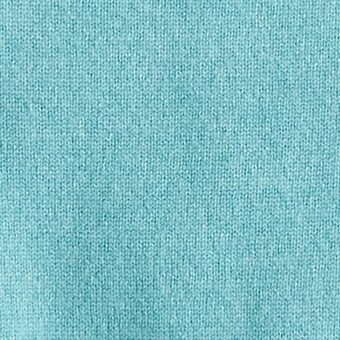 LARKSPUR BLUE