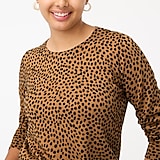 Cheetah Teddie sweater