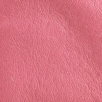 Mini Montauk tote in leather RICH OAK j.crew: mini montauk tote in leather for women