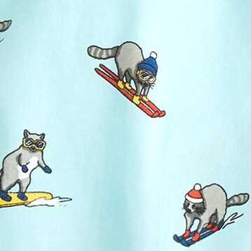 Printed boxers FLYING FISH BEAR GREY B j.crew: printed boxers for men