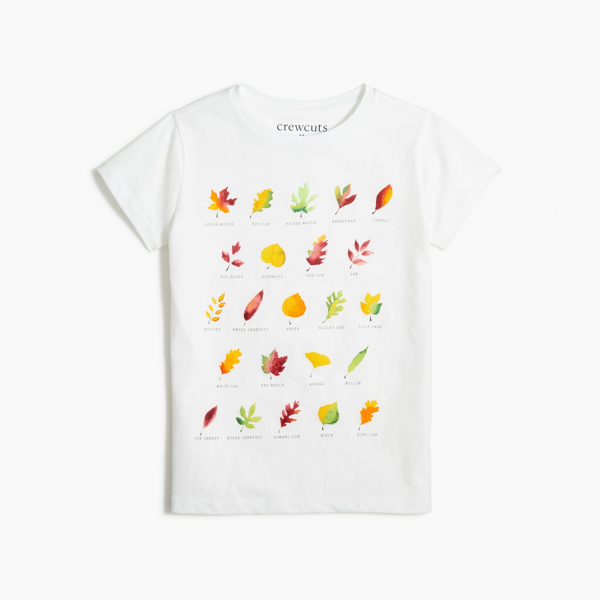Girls' leaf graphic tee