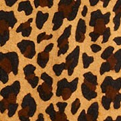 Girls' printed turtleneck BROWN MULTI girls' printed turtleneck for girls