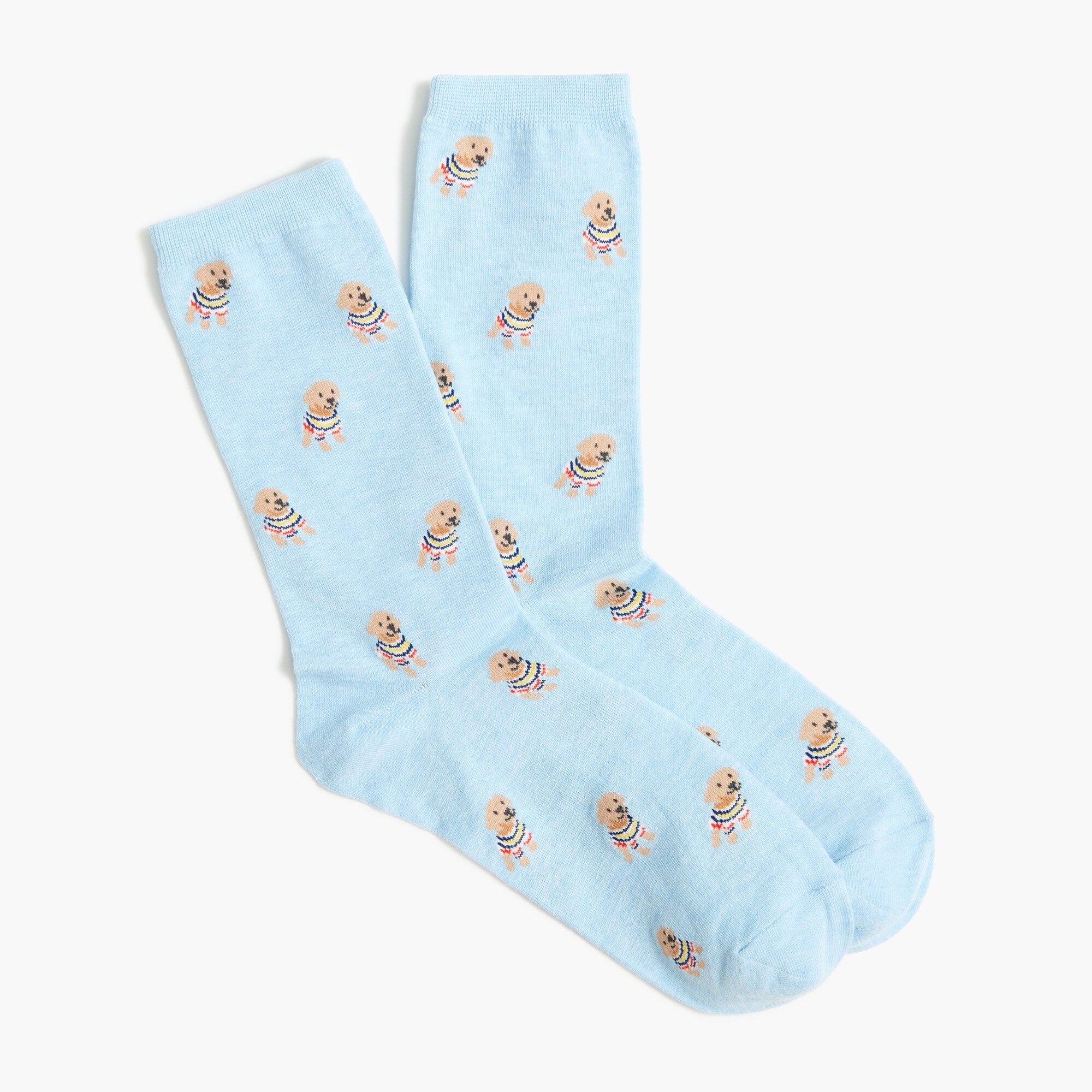 Dog in sweater trouser socks